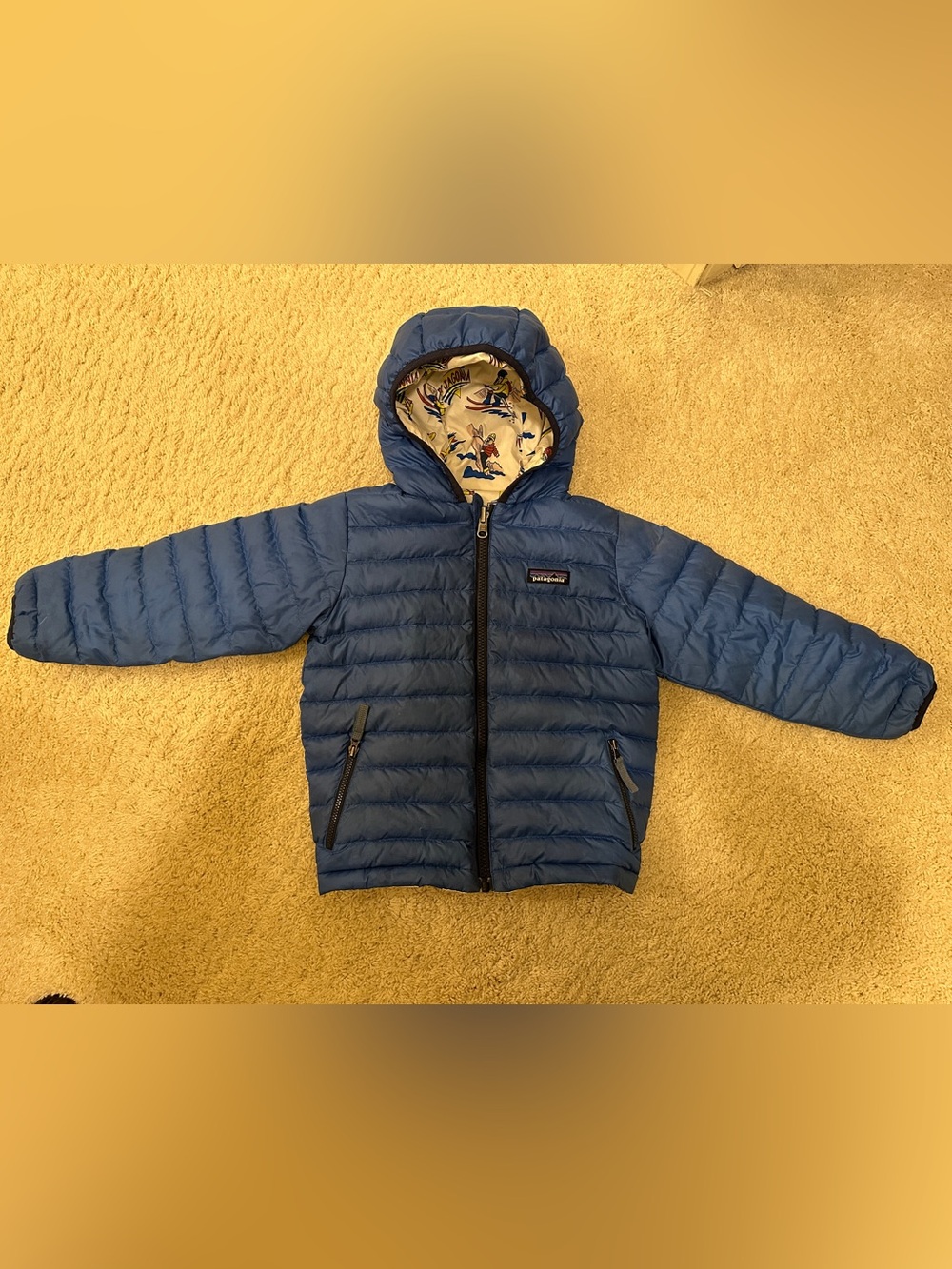 Patagonia Baby Reversible Down Sweater Hoody